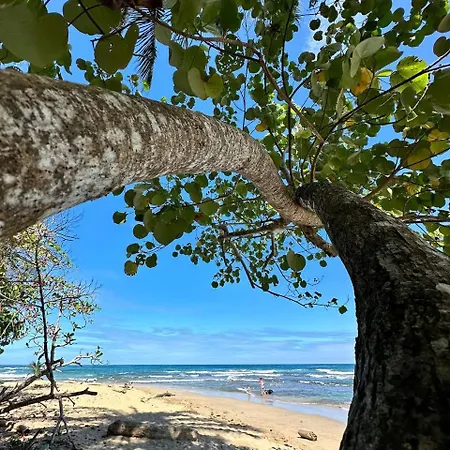 Caribbean Flow Puerto Viejo de Talamanca Exterior photo