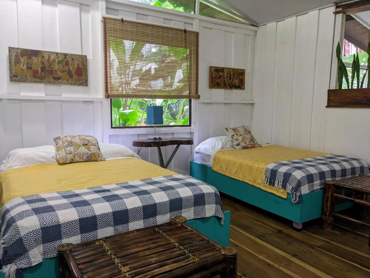 Caribbean Flow Apartment