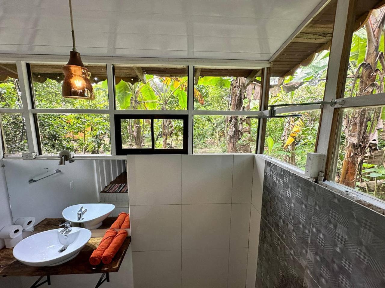 Caribbean Flow Apartment